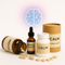 Focus & Mental Clarity Formulas | Boost Concentration & Memory