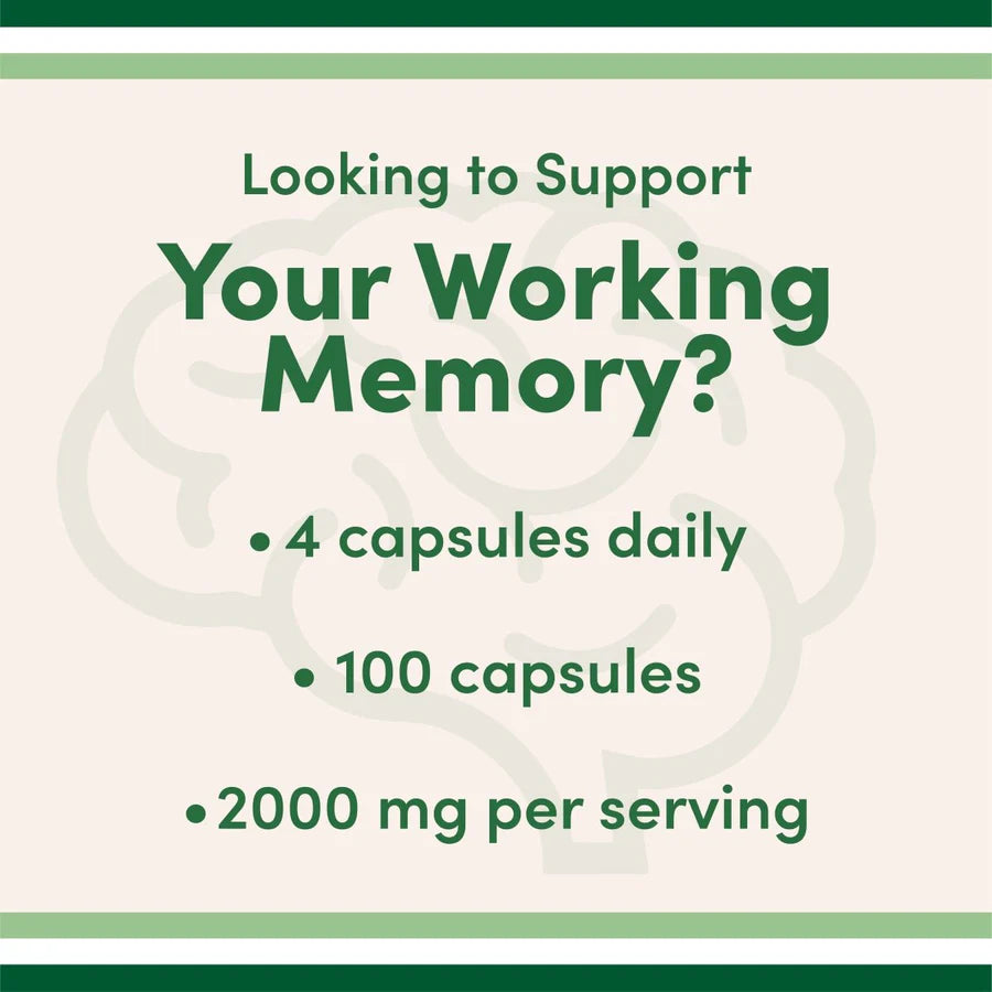 Graphic promoting Magnesium L-Threonate for memory support, highlighting dosage and serving size.